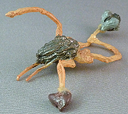 Baby Dalek Mutant from Genesis of the Daleks Collectors Set