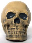 The First Doctor Skull Accessory